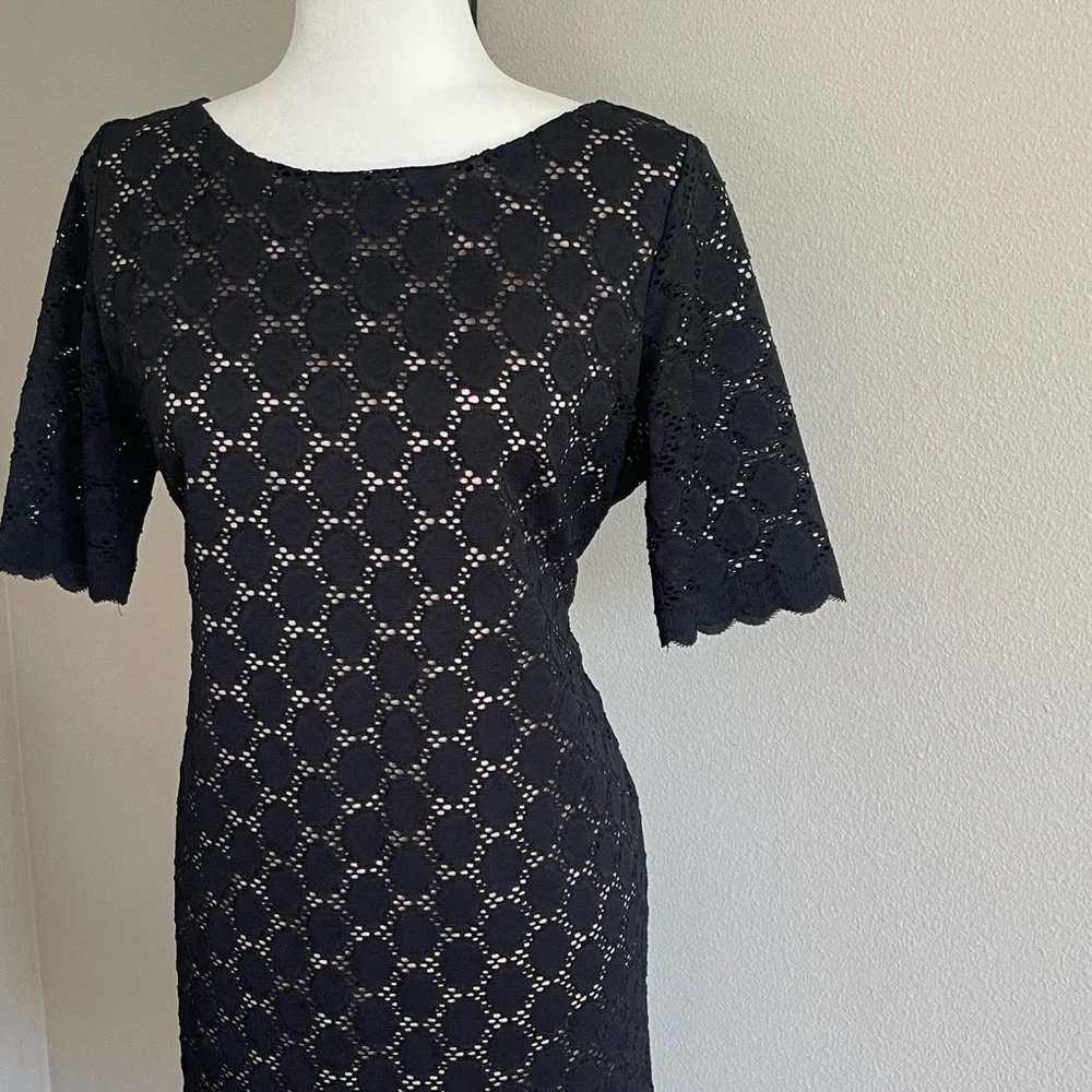 Tiana B. Beige and Black Dress Size 12 - Picture 2 of 7